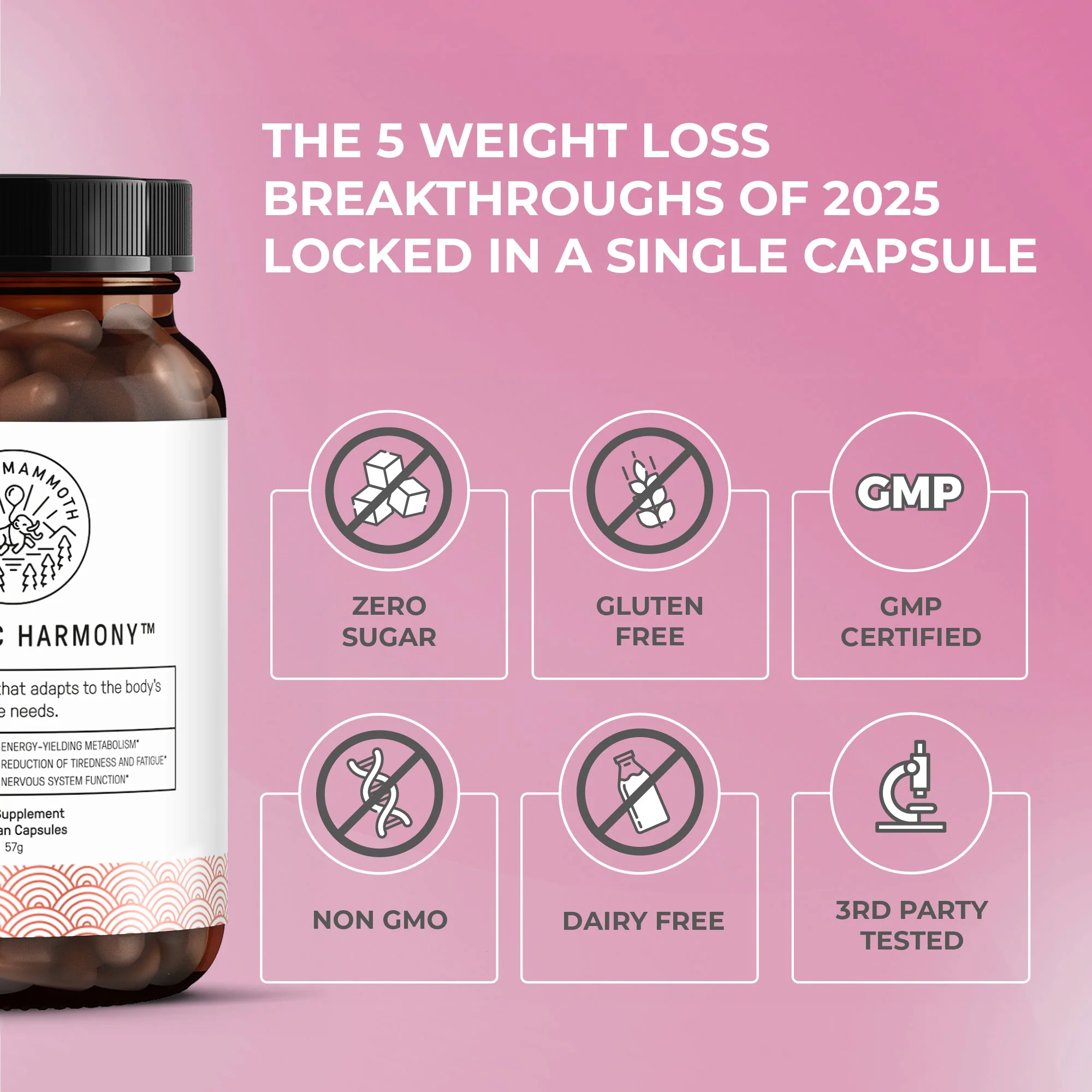 Metabolic Harmony - Image 4