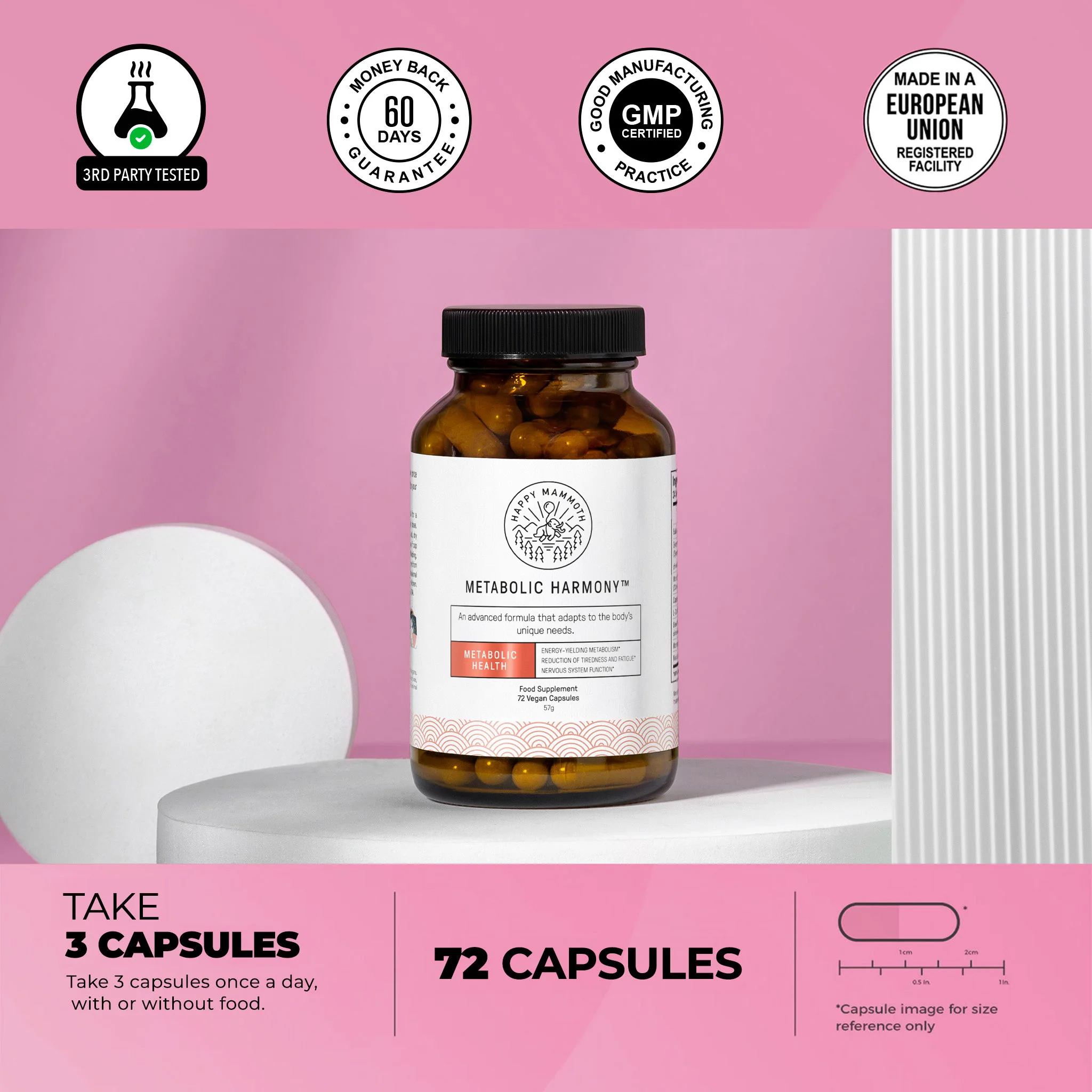 Metabolic Harmony - Image 6