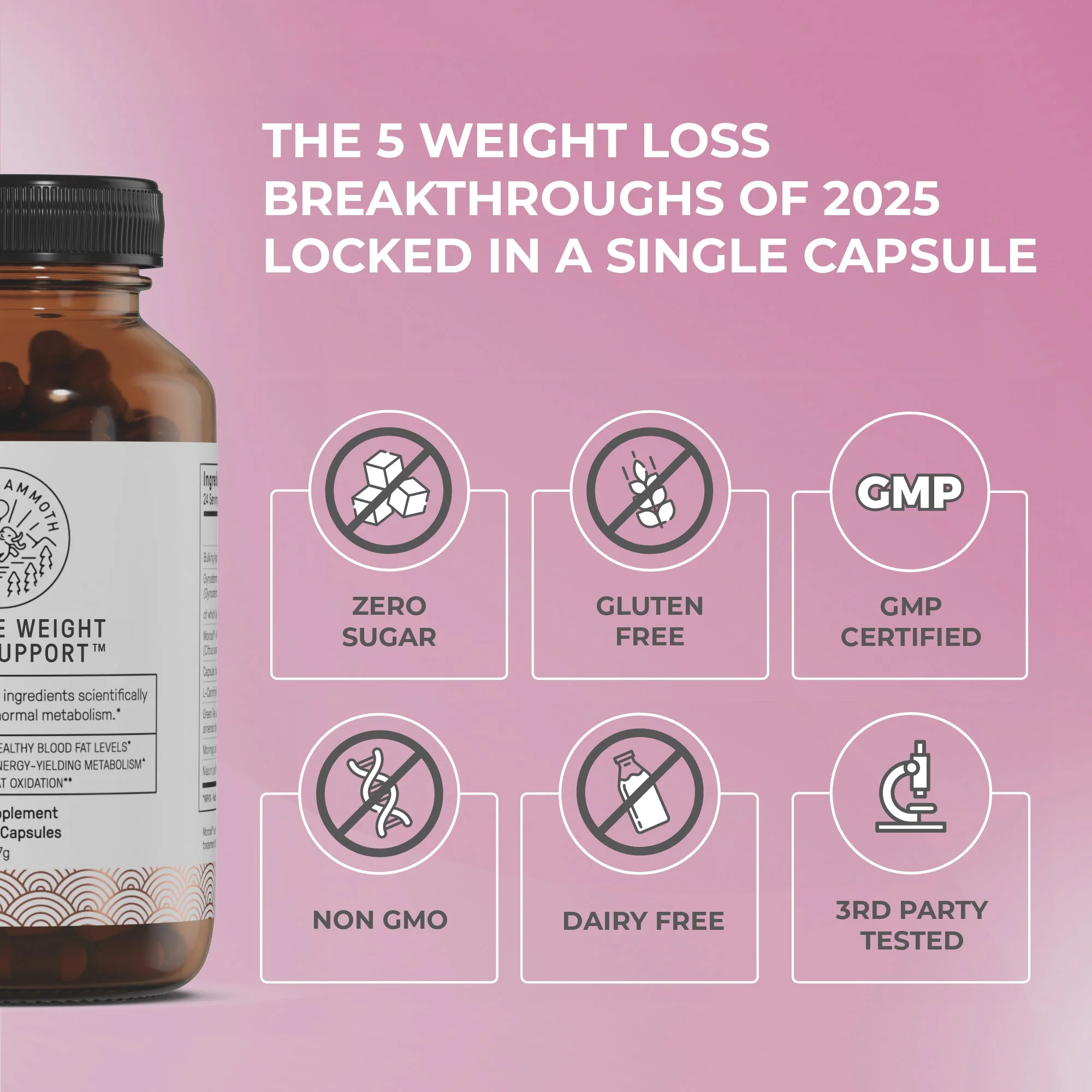 Ultimate Weight Loss Support - Image 4